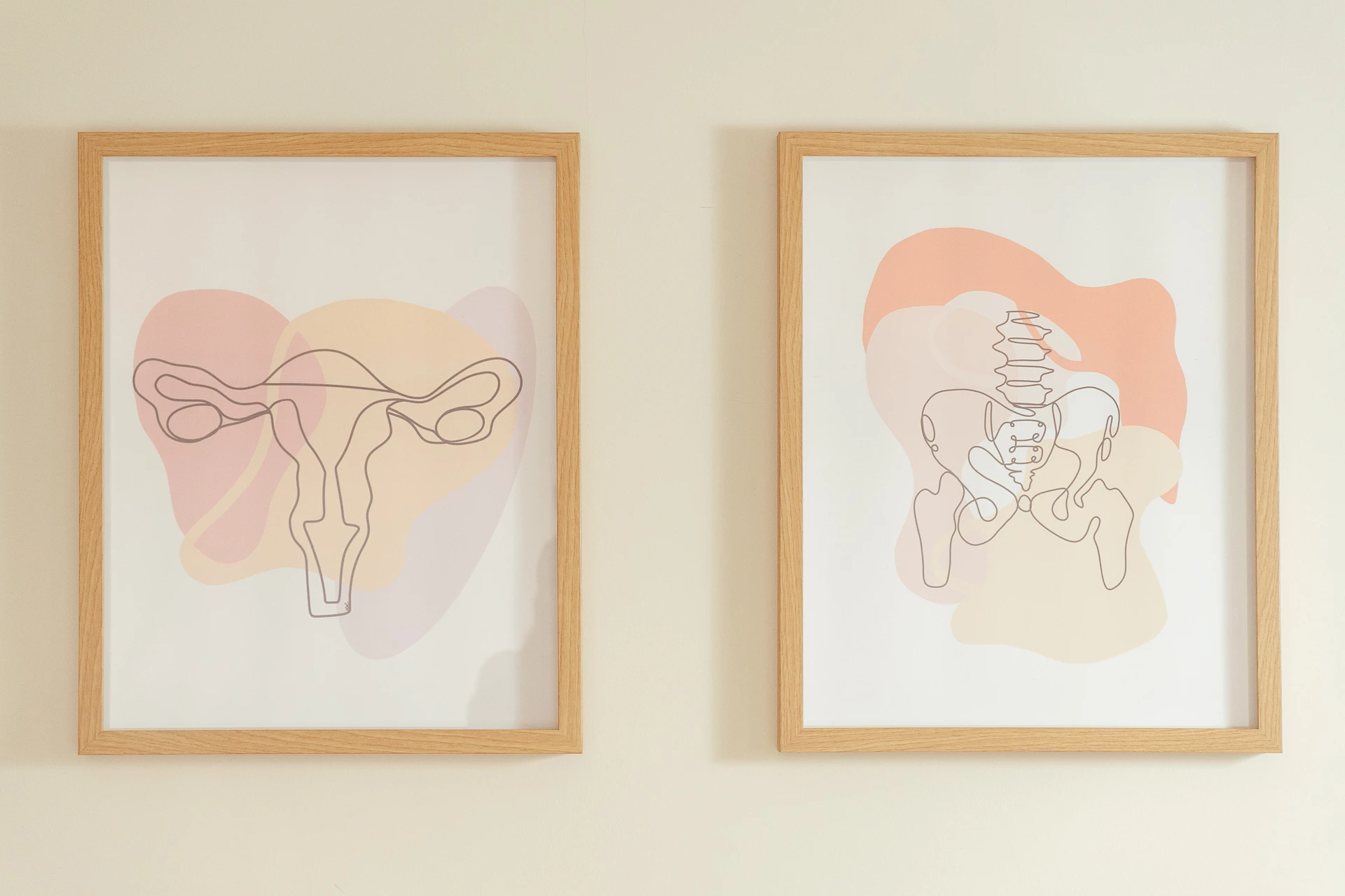 Dos cuadros decorativos de una pelvis y un útero colgados en la consulta de fisioterapia, destacados en la sección del Blog.